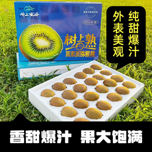 【岭上味语】即食徐香猕猴桃奇异果到手即食无需等待水果礼盒装