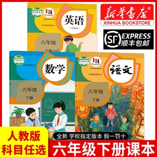 学校指定教科书6六下语数英人民教育出版 新华书店正版 六年级下册语文书数学英语26春季 教材2025新版 社 六年级下册全套课本人教版