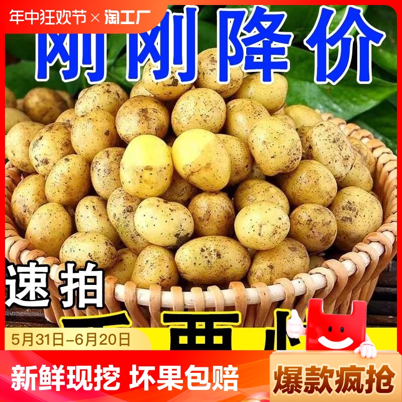 【新鲜现挖】恩施小土豆富硒土豆农家蔬菜黄心马铃薯洋芋整箱包邮