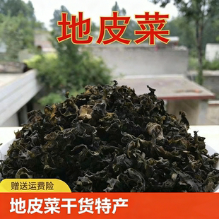 非野生地皮菜干货特产菜地衣地耳地曲挛500g干菜食材脱水木耳