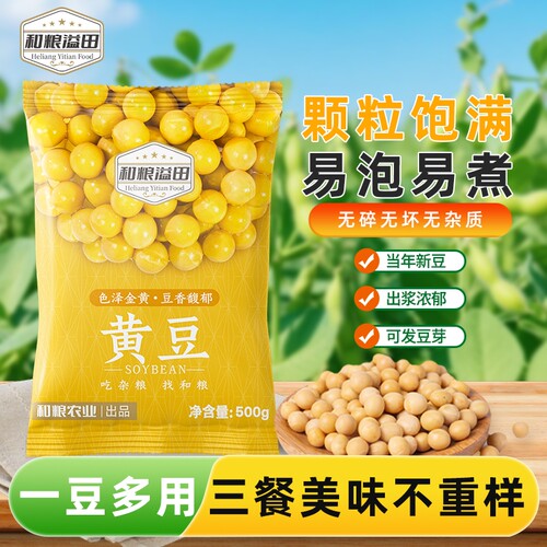 黄豆打豆浆专用豆子发豆芽专用豆