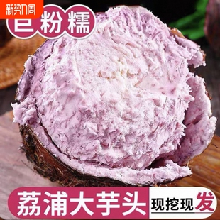 正宗广西桂林大芋头新鲜蔬粉香软糯荔浦芋头新鲜现挖广西特产