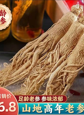 人参干人参特级老参白参10年东北生晒参泡酒专用白干参煲汤人参