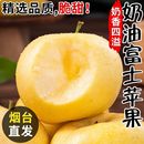 正宗山东烟台黄金奶油富士苹果冰糖心新鲜水果当季 现摘产地直发