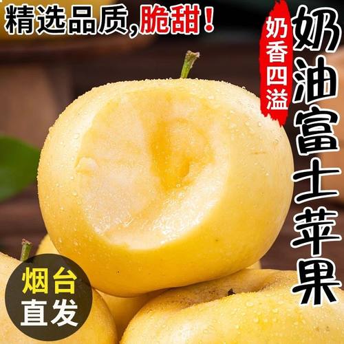 正宗山东烟台黄金奶油富士苹果冰糖心新鲜水果当季现摘产地直发