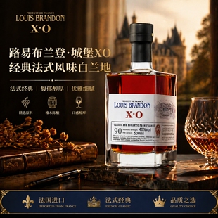 法国原酒进口XO白兰地洋酒特调酒鸡尾酒基酒烈酒多规格