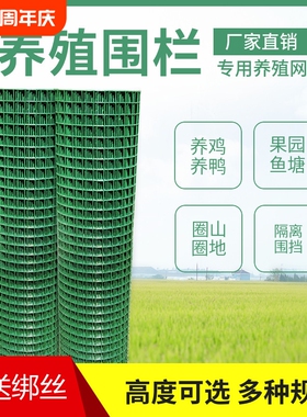 隔离铁丝网养鸡围栏网养殖网围栏护栏绿色绿网耐用铁网格网拦鸡网