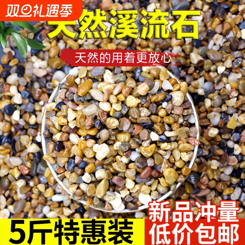 天然河沙溪流沙鹅卵石原生水族鱼缸水草缸多肉铺面小石子过滤豆石