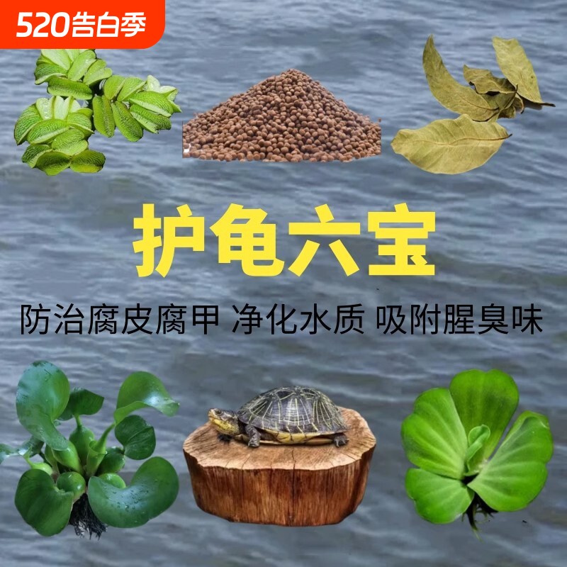 乌龟专用造景缸龙眼木晒台爬坡躲避窝真水草造景摆件用品龟缸生态