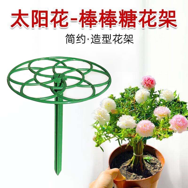 太阳花棒棒糖造型支架叶仙人掌蟹爪兰嫁接用单层多层支撑固定花架