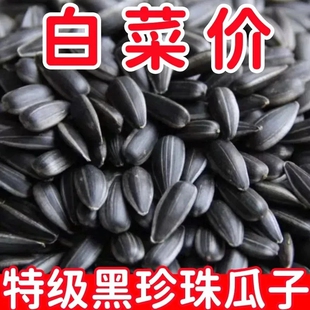 新货油葵黑珍珠瓜子500g油葵小瓜子现炒熟原味生葵花籽小油葵种籽