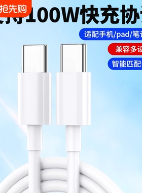 驯龙师 100W双头type-c数据线双向tpyec双pd快充ctoc适用小米华为荣耀tpc车载充电线器笔记本电脑typc公对公
