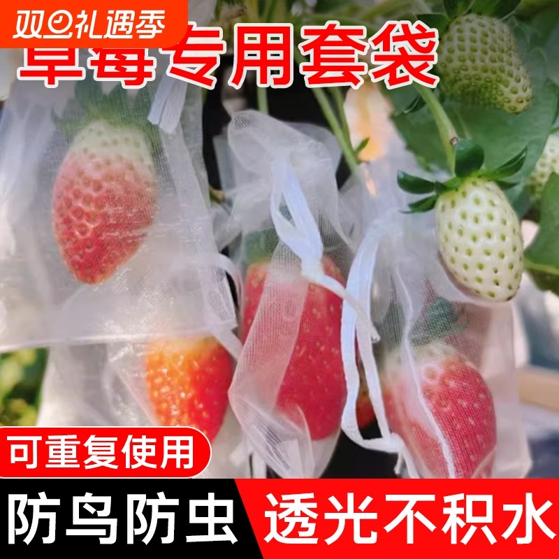 草莓套袋专用袋防虫防鸟尼龙网袋葡萄桃子石榴无花果通用网纱水果