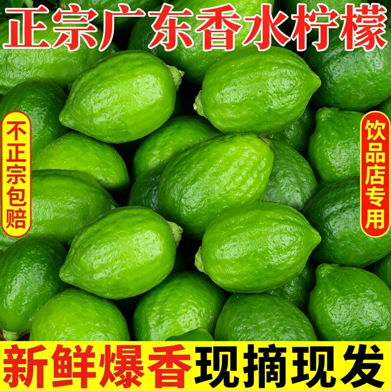 广东香水柠檬新鲜正宗青柠檬无籽大果一级果水果奶茶店鲜柠檬现摘