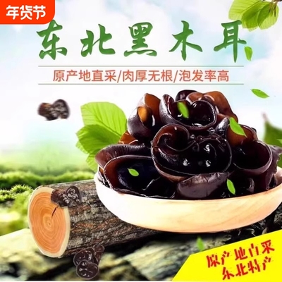 东北特产野生黑木耳干货包邮野生小碗耳肉厚农家土特产无根干木耳