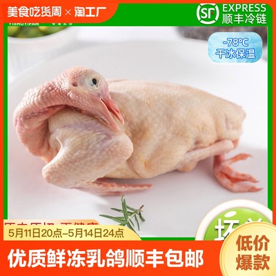 生态散养喂养乳鸽土鸽子整只营养净膛生鲜20顺丰包邮330g±30g