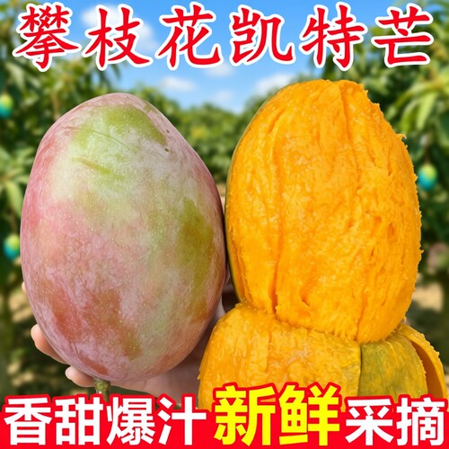 攀枝花凯特芒10斤|超3000次加购