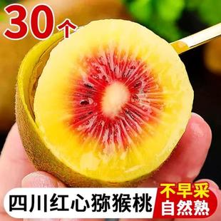 四川红心猕猴桃新鲜奇异果30枚装当季现摘蒲江弥猴桃水果礼盒整箱