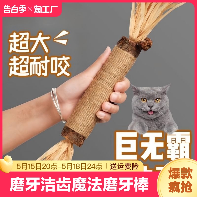 猫咪磨牙棒猫玩具自嗨解闷耐咬猫薄荷球逗猫棒超大巨无霸木天蓼