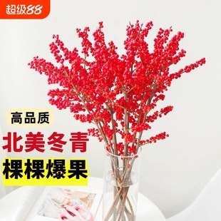 进口北美冬青鲜切枝鲜花束红果水培水养植物室内耐寒年宵花卉真花