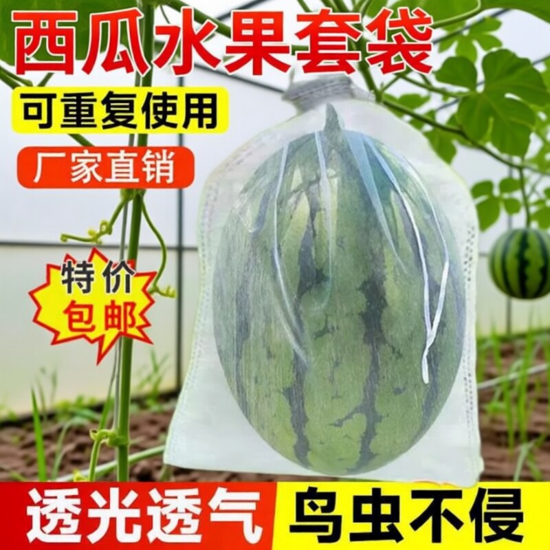 西瓜水果套袋防鸟防虫专用袋透气冬瓜瓜果果袋防果蝇葡萄苦瓜桃子