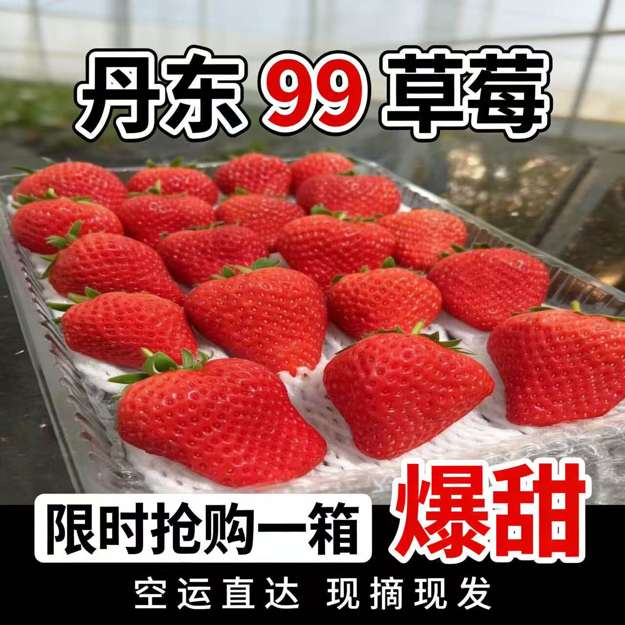 丹东99草莓新鲜现摘九九东港奶油鲜红颜草莓孕妇牛奶整箱顺丰包邮