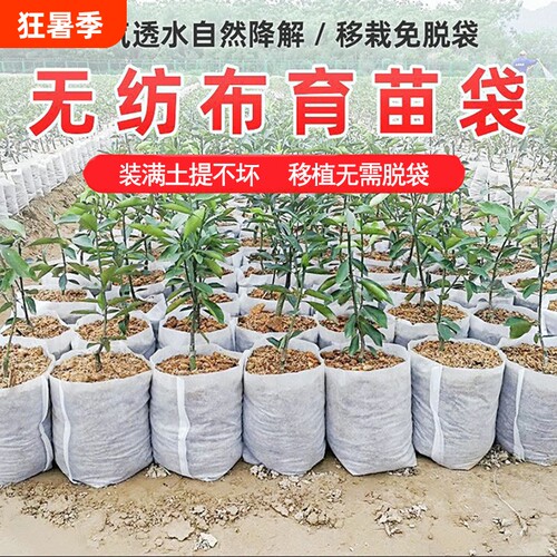 无纺布植树袋结实耐用