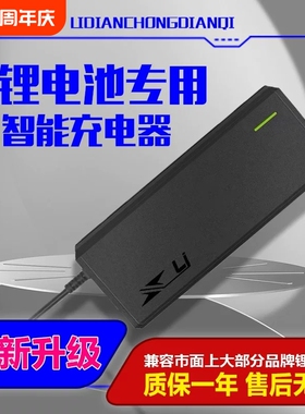 康隆电动锂电池充电器MQi/UQi/NQi/G0/G2/F0/F270.电动车53.5V5A