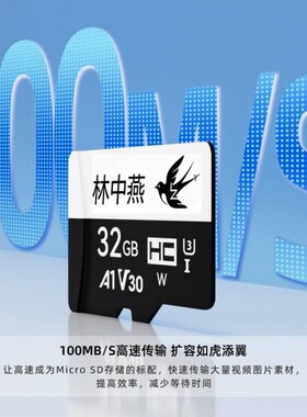 林中燕内存卡128g高速行车记录512g仪监控tf256卡高速存储卡录像
