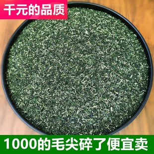 高档信阳毛尖2026新茶叶明前碎芽断叶断尖碎茶特级口粮茶500g散装