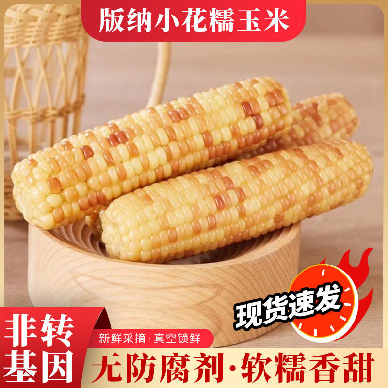 云南西双版纳花糯小玉米棒香糯甜非转基因开袋即食糯玉米新鲜早餐