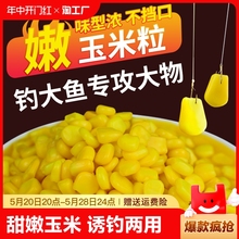 甜嫩玉米饵料野钓鲤鱼专用钓鱼翘嘴草鱼食颗粒挂钩玉米粒串钩打窝