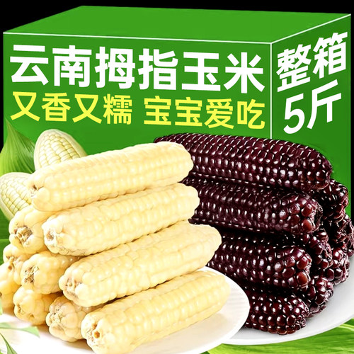 云南西双版纳香糯小玉米