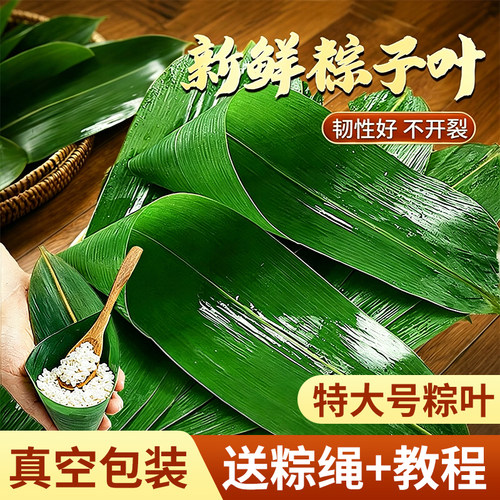 粽叶新鲜端午节包粽子真空包装