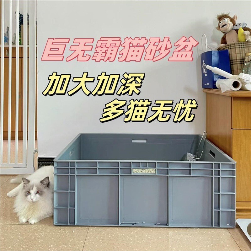 猫砂盆超大号80cm全开放式周转物流集装箱特大6斤巨大缅因猫厕所