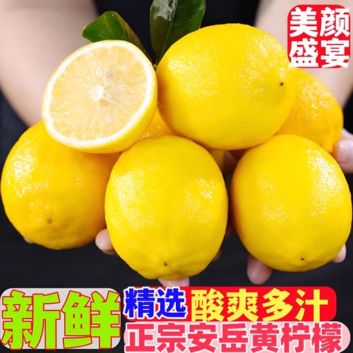 安岳柠檬新鲜现摘水果酸爽多汁