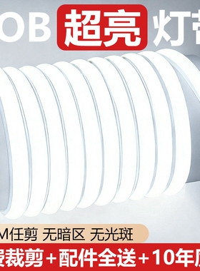 220v灯带led灯条吊顶户外防水客厅自粘线形灯家用COB超亮强光氛围