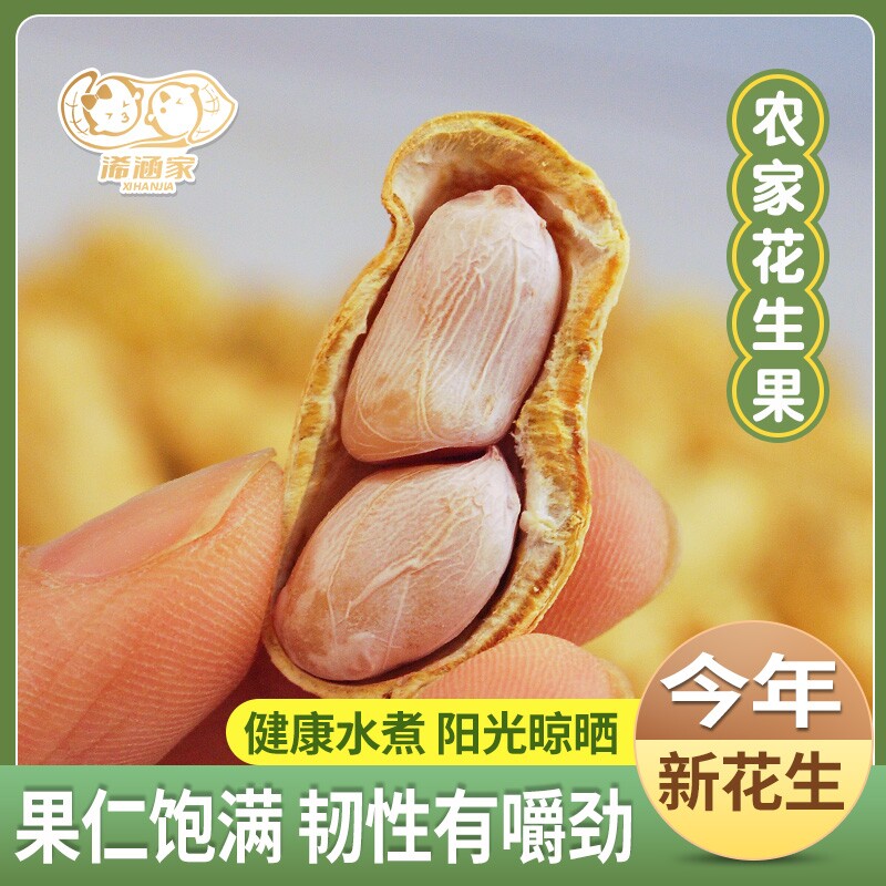 特价广东花生蒜香五香咸干多味盐水白晒水煮花生米带壳炒货熟零食