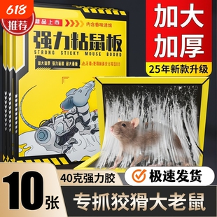 老鼠粘强力粘鼠板驱鼠灭鼠器夹超药抓捉大老鼠笼胶沾捕鼠器家用神