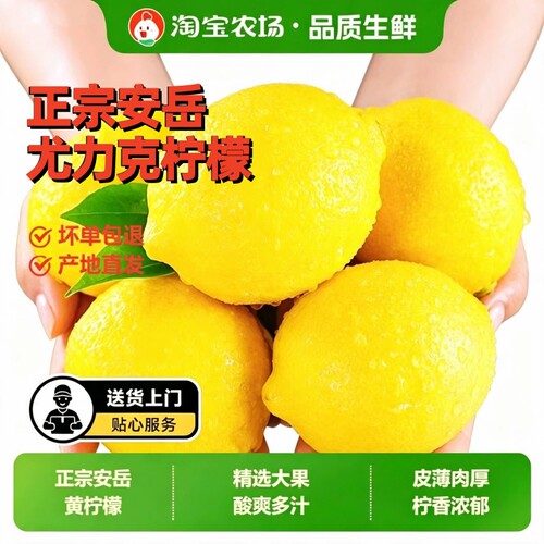 安岳柠檬新鲜采摘奶茶店榨汁切片