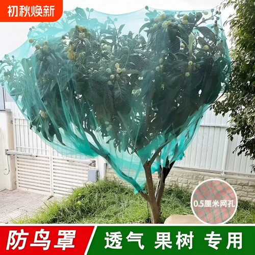 果树网罩防鸟罩防鸟围网果园防鸟网樱桃树嘉宝防冰雹网防护网盆景