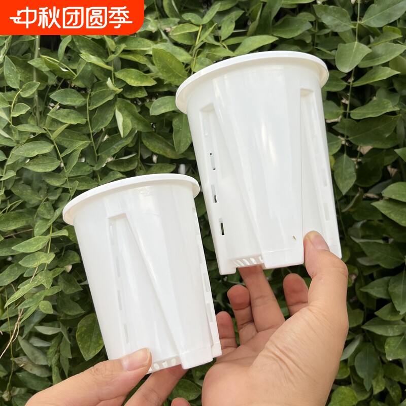 白色空气柱透气控根盆兰花盆										
