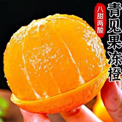 四川晚熟青见果冻柑橘橙桔子新鲜水果整箱大果包邮时令当季现货