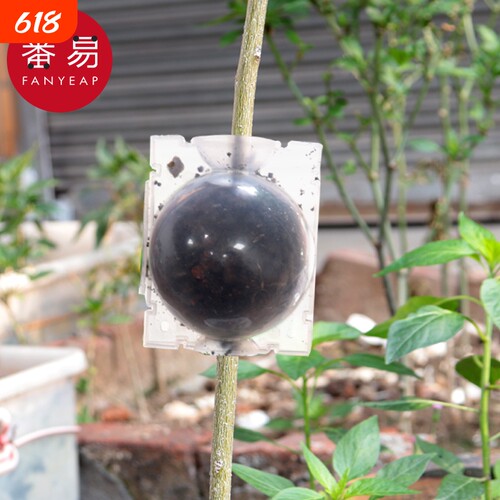 植物繁殖盒A1pl700-植物高压嫁接盒繁殖球生根包控根扦插育苗透明