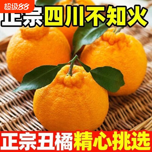 四川不知火丑橘整箱大果时令桔子耙耙粑粑丑柑橘子当季新鲜水果