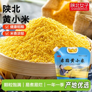 陕北女子新米产地优选米脂黄小米2.5kg