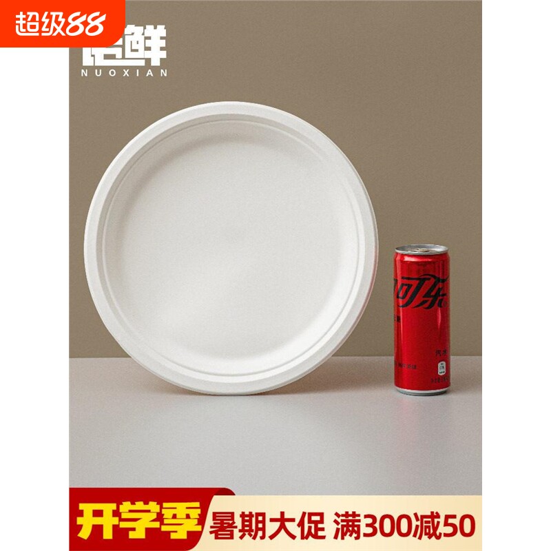 一次性纸盘子幼儿园手工DIY绘画画蛋糕烧烤餐盘纸碟子大纸盘涂鸦