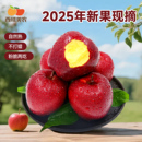 正宗甘肃天水花牛苹果新鲜水果红粉面当季 现摘整箱丑苹果