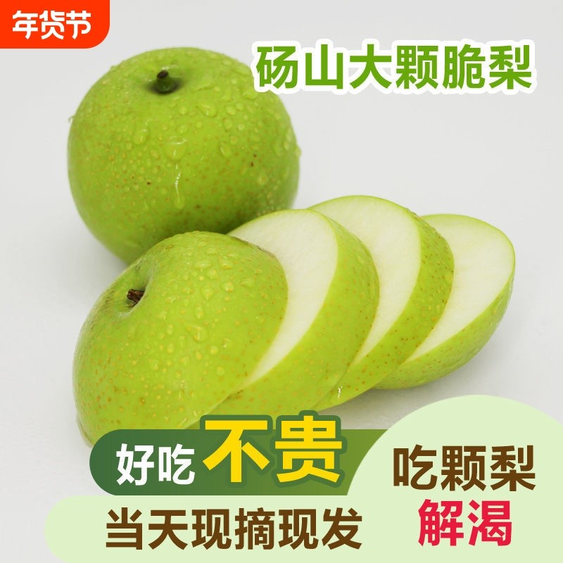 河北皇冠梨5斤梨子新鲜当季水果酥脆梨砀山黄金梨整箱包邮现摘,水产肉类/新鲜蔬果/熟食,梨,淘宝优惠券,粉丝福利购,淘宝优惠卷