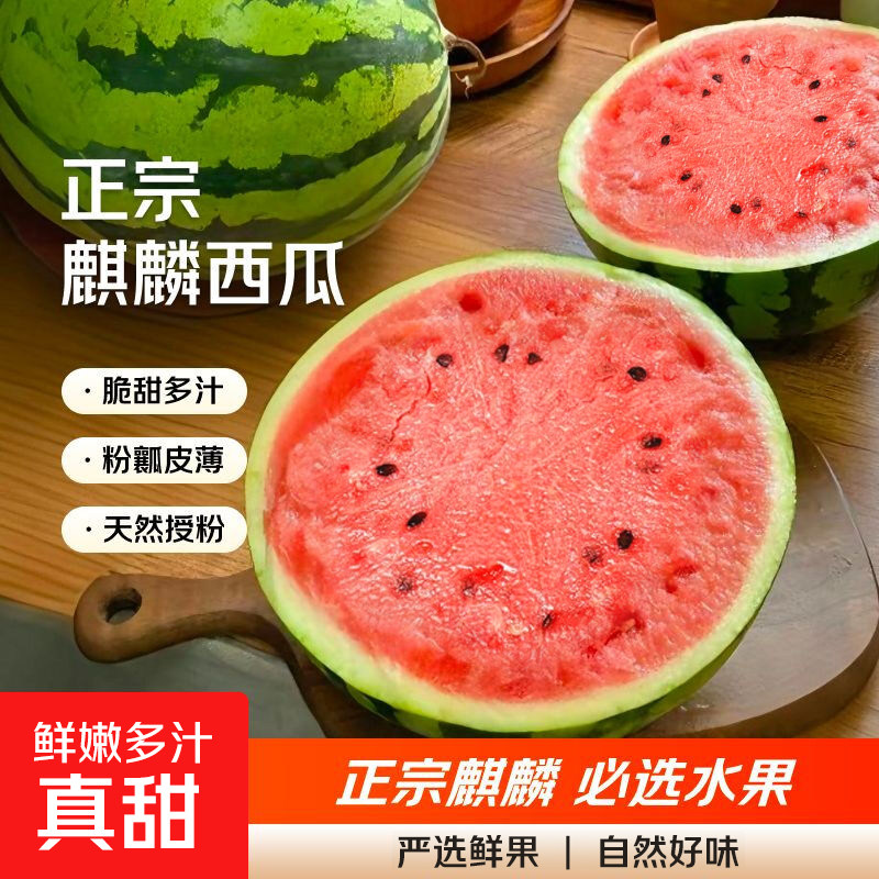 正宗麒麟西瓜新鲜水果皮薄大西瓜头茬现摘有籽甜西瓜,水产肉类/新鲜蔬果/熟食,西瓜,淘宝优惠券,粉丝福利购,淘宝优惠卷